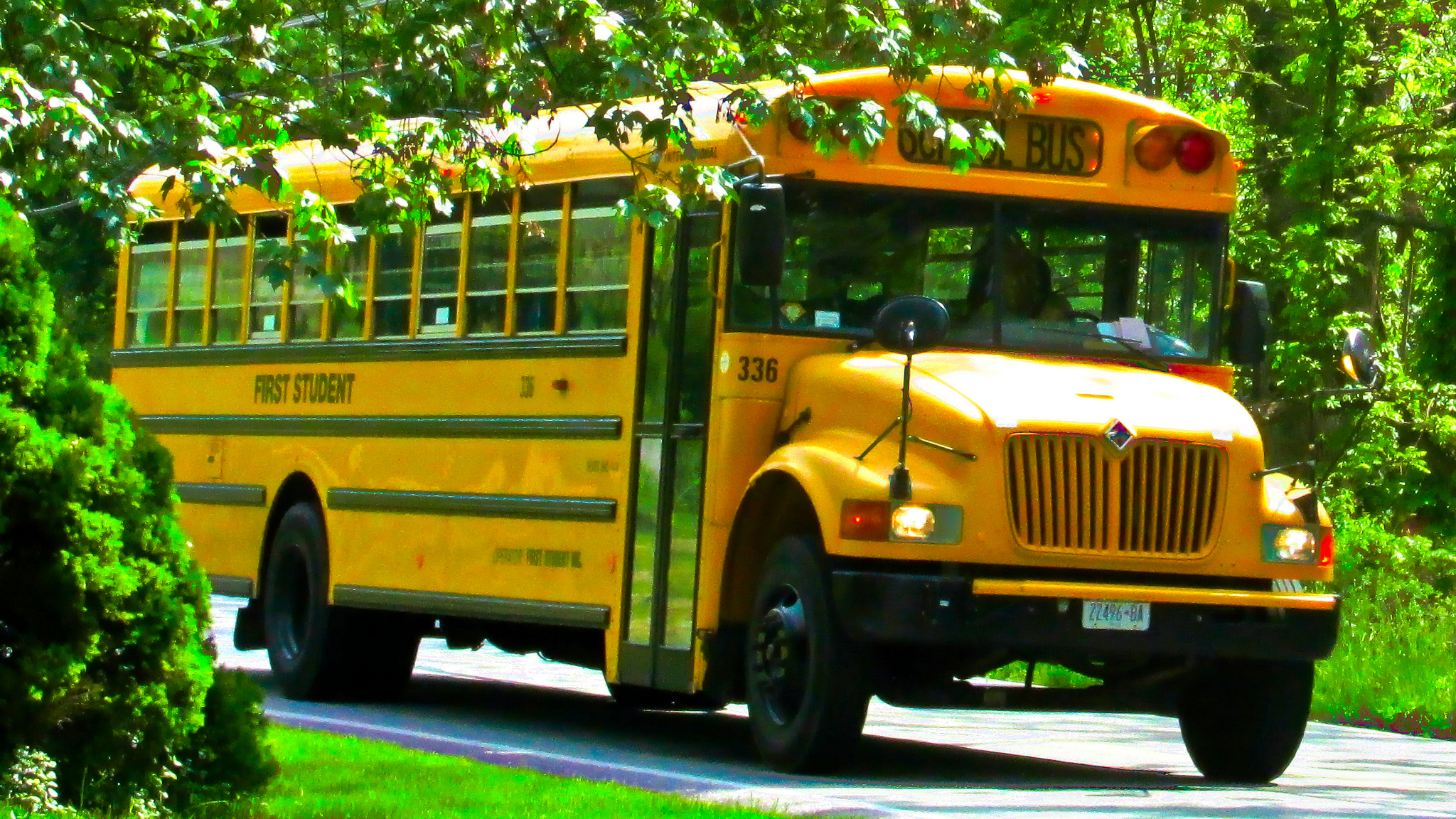 School Bus
